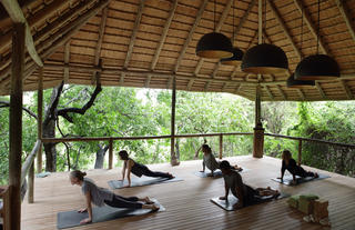 Yoga At Londolozi