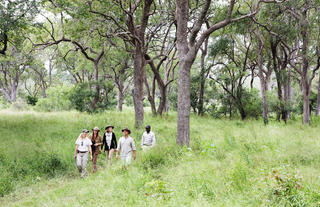 On safari at Londolozi