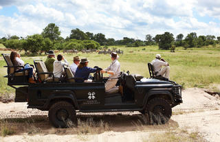On safari at Londolozi