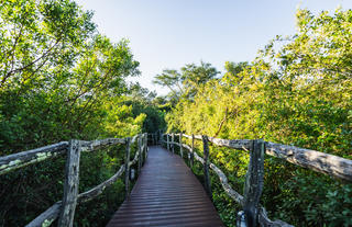 Lalibela Wildlife Reserve - Marks Camp