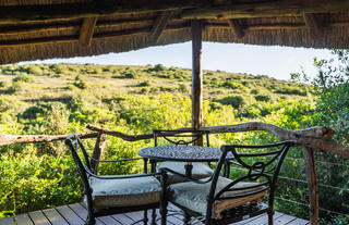 Lalibela Wildlife Reserve - Marks Camp