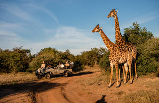 Kapama Wildlife Big Five Safari