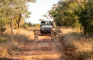 Kapama Wildlife Big Five Safari