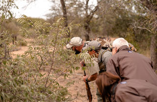 Kapama Wildlife Bush Walk