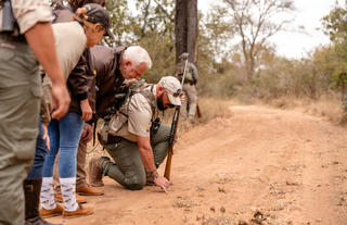 Kapama Wildlife Bush Walk