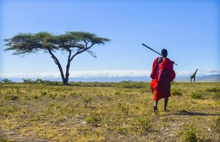 Maasai Walk
