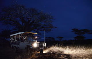Swala Camp - Night Drive