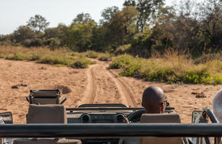 Game Drives Nsala Wilderness Camp