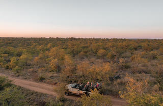 Game Drives Nsala Wilderness Camp