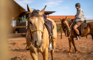 Horse Riding
