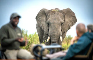 Game Drives