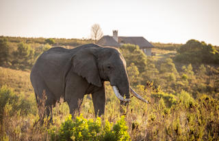 Kwena Lodge Villa