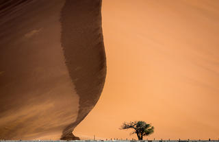 Kulala Desert Lodge