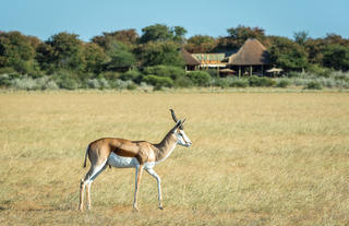 Wilderness Kalahari Plains Camp