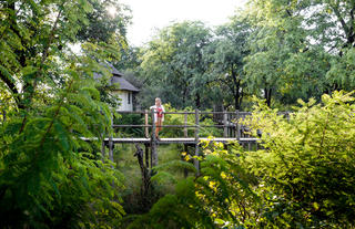 Sussi & Chuma Lodge - Walkway