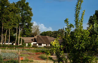 Ngorongoro Farm House - Vegetables