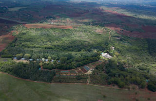 Ngorongoro Farm House - from heghts