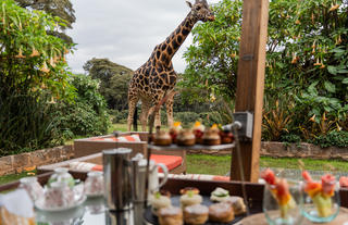 A spot of tea and a giraffe