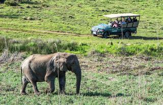 Amakhala Safari Lodge