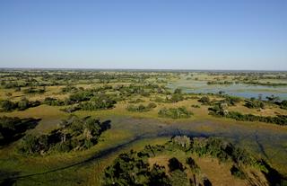 The Iconic Okavango Delta