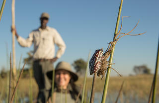 Mokoro safaris at Setari