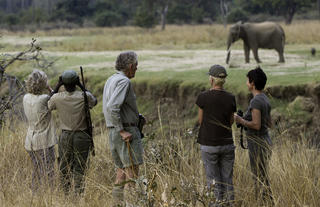 Kuyenda walking safari