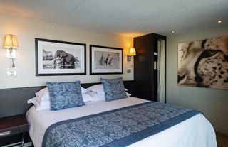 Accommodation - Standard Suite