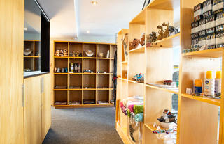 Curio Shop