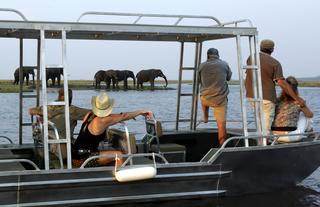 Safari Tours