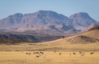 Damaraland Camp