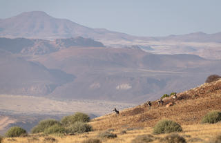 Damaraland Camp