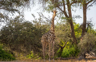 Damaraland Camp