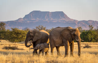 Damaraland Camp