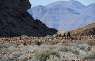 Damaraland Camp