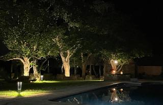 Poolside At Night
