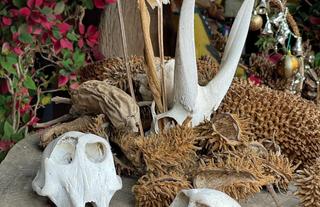 Decor