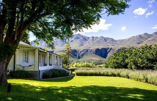 Mountain view from property