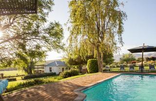 Swimming Pool area
