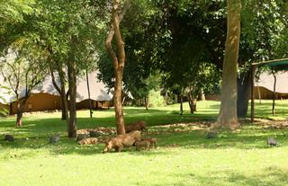 Lokuthula Lodge Grounds