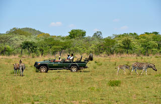Mabula Game Lodge - Safari Wildlife 2