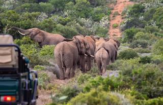 Kwandwe Private Game Reserve