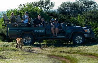 Kwandwe Private Game Reserve