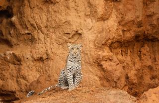 Kwandwe Private Game Reserve