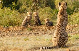 Kwandwe Private Game Reserve