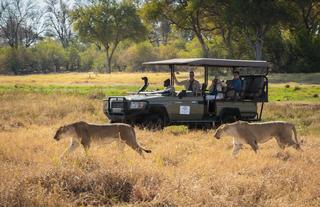 Game Drive