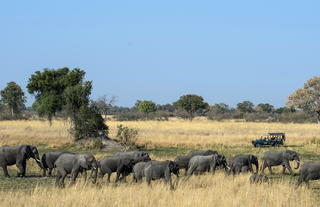 Mapula Lodge, Northern Okavango Delta