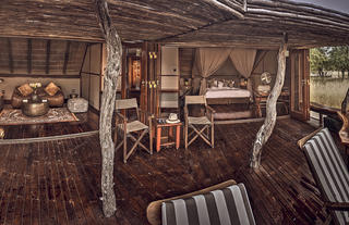 Standard suite