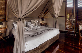 Standard suite