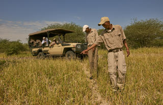 game drive activity