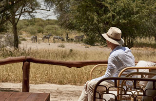 Arm chair safari